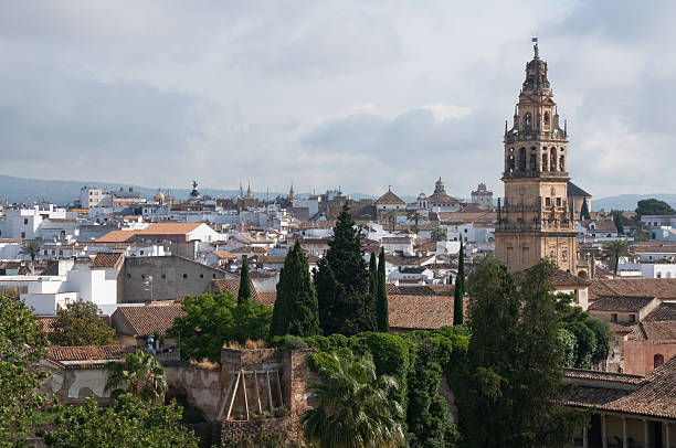 istock Cordoba seen from the Alcazar (Spain) 462989069