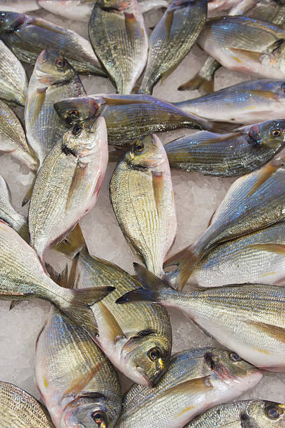 istock Fresh fish at the market 462989077