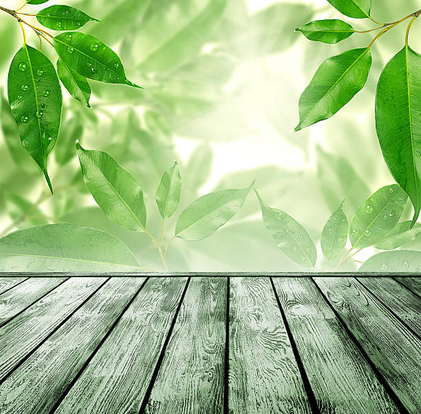 istock wood floor with green bokeh . 462990789