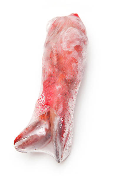 istock Frozen Canadian red lobster isolated on a white studio Background. 462992041