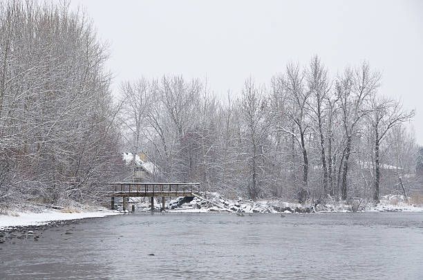 川沿いの後に、新鮮な量の降雪 - boise river ストックフォトと画像
