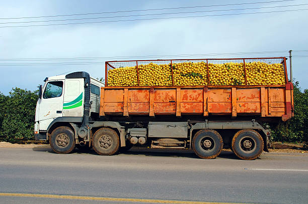 istock Truck load of oranges 463005853