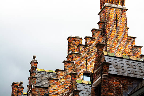 istock Medieval roof and chimney 463012665