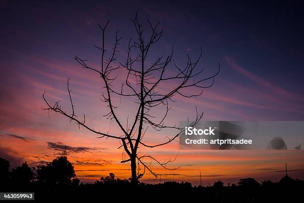 Sunset Stock Photo - Download Image Now - Back Lit, Backgrounds, Dawn