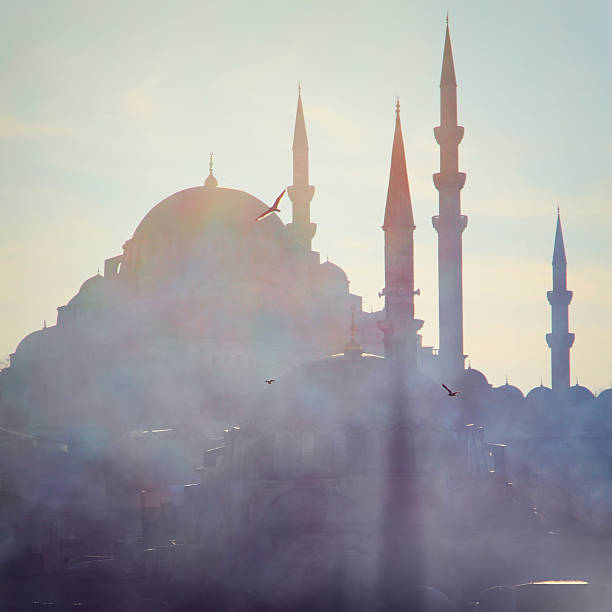 A mosque with awesome shades and environment.