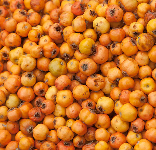 istock Tecojote winter tropical fruit 463072759