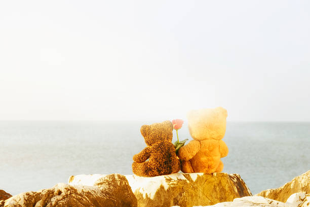 osos de peluche en el amor sobre un acantilado - motivation rock flower single flower fotografías e imágenes de stock