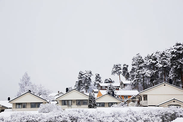 istock Houses in winter. 463077277