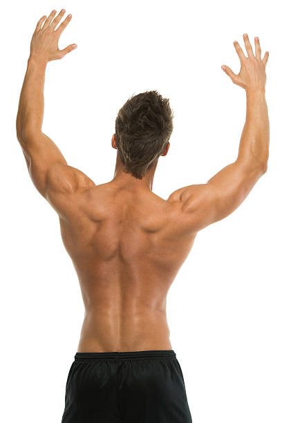 istock Rear view of muscular man with hands raised 463077769