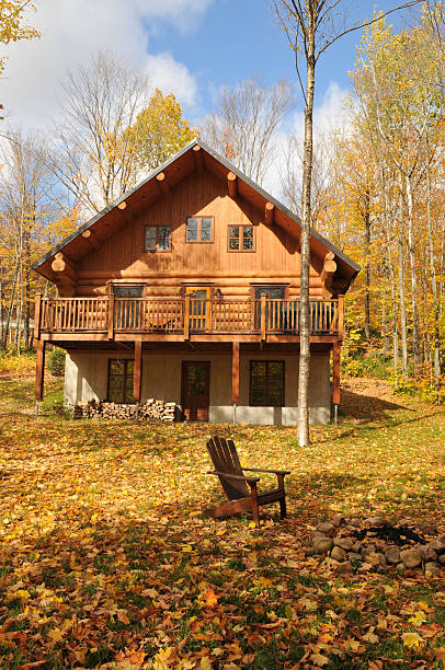 istock Wood house in the woods 463077867