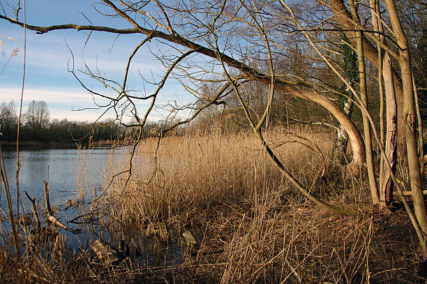 Near the lake at autumn
