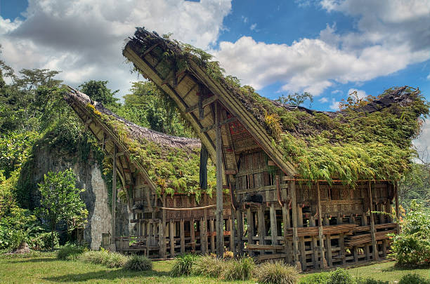 Tana Toraja Traditional House stock photo