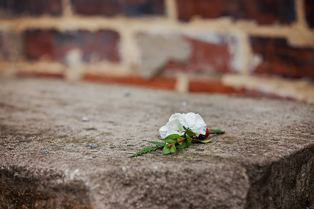 istock Boutonniere and Brick Wall 463082079
