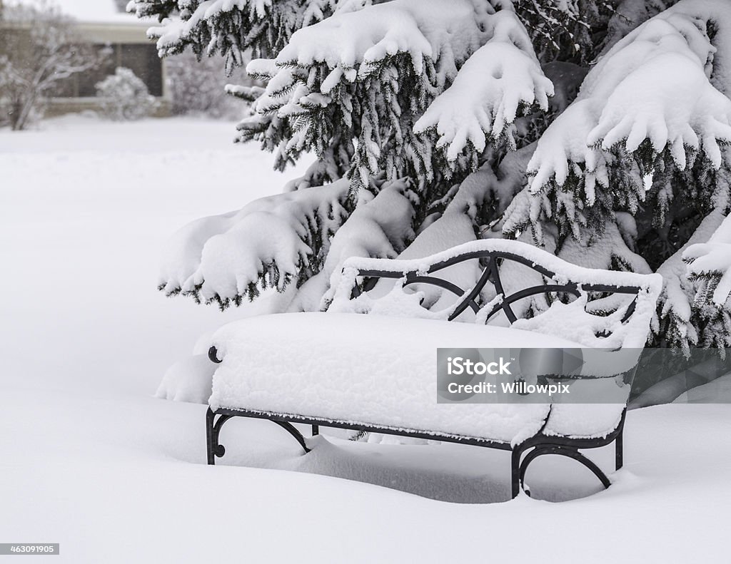 Banc de jardin couvert en cas de Blizzard et de neige - Photo de Arbre à feuilles persistantes libre de droits