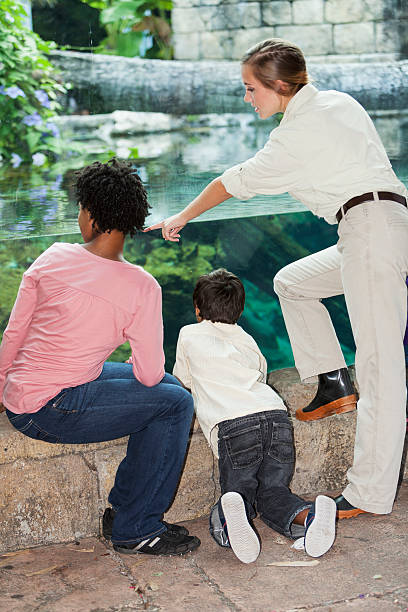istock Worker at zoo pointing to exhibit 463092809