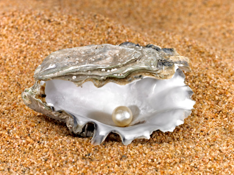 Pearl in Oyster Shell on sand.