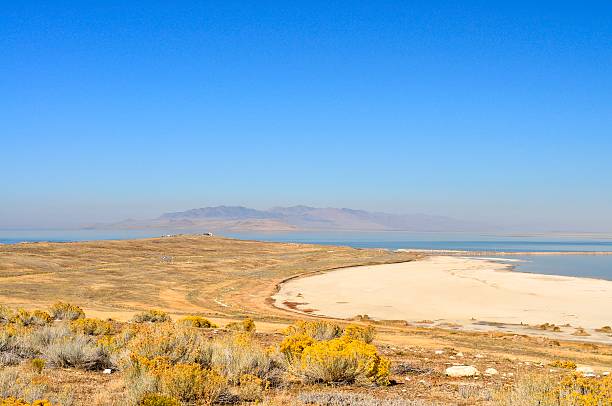 istock Great Salt Llake From Antelope Island 463097851