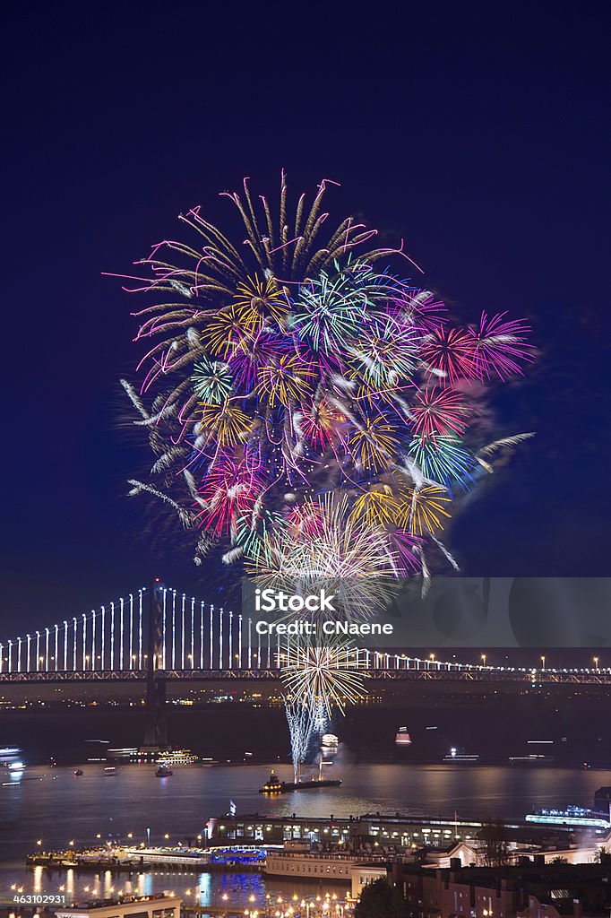 New Year Bouquet Celebrating 2014 with New Year fireworks show from San Francisco. 2014 Stock Photo