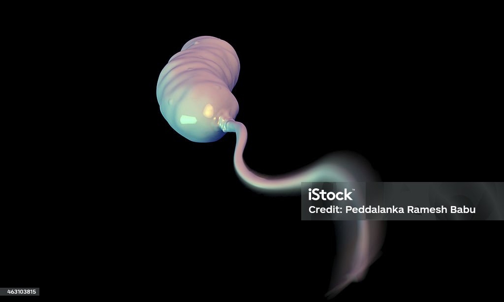 Vibrio cholerae Bactéria - Foto de stock de Alta Magnificação royalty-free