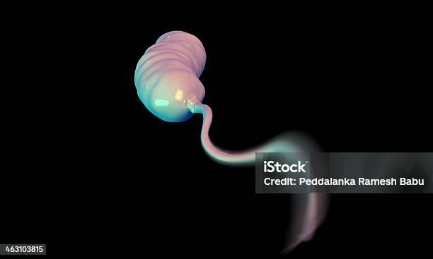 Foto de Vibrio Cholerae Bactéria e mais fotos de stock de Alta Magnificação - Alta Magnificação, Ampliação, Ansiedade