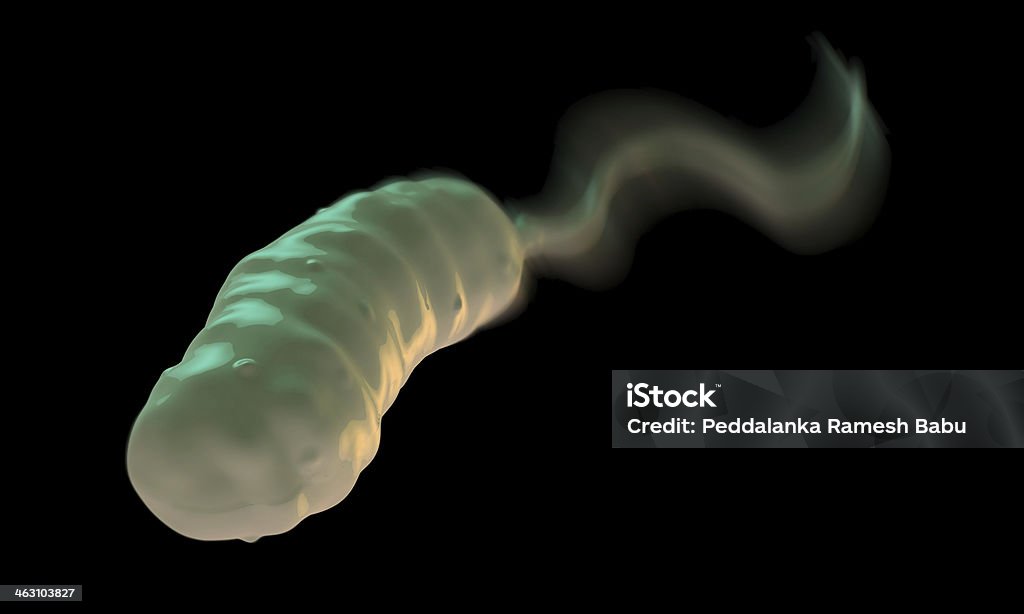 Przecinkowiec cholery (Vibrio cholerae) bacterium - Zbiór zdjęć royalty-free (Bakteria)