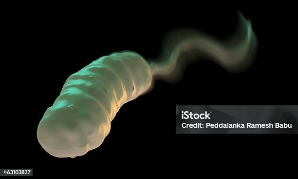 Foto de Vibrio Cholerae Bactéria e mais fotos de stock de Alta Magnificação - Alta Magnificação, Ampliação, Ansiedade