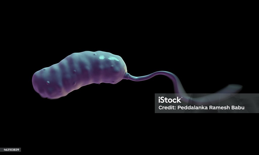 Vibrio cholerae Bakterie - Lizenzfrei REM-Aufnahme Stock-Foto