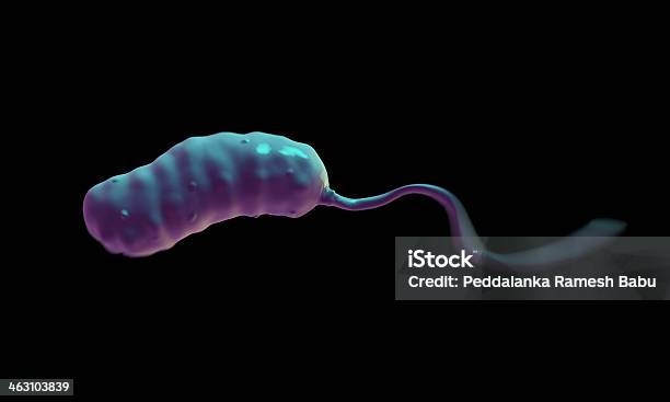 Bactéria Vibrio Cholerae - Fotografias de stock e mais imagens de Micrografia Eletrónica de Varrimento - Micrografia Eletrónica de Varrimento, Bactéria, Bactéria da cólera