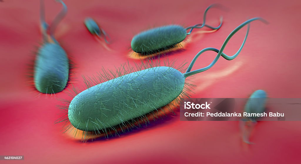 Bactéria Helicobacter pylori - Royalty-free Helicobactéria Foto de stock