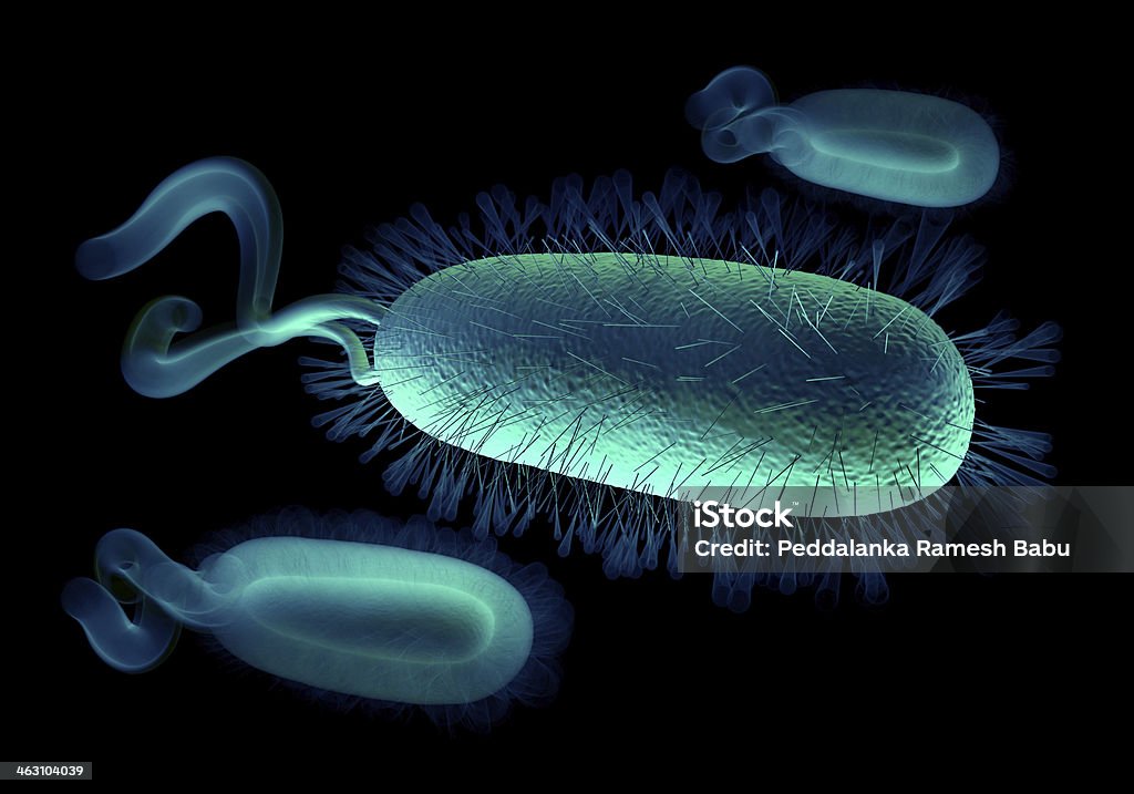 Helicobactéria Bactéria - Foto de stock de Abdome royalty-free