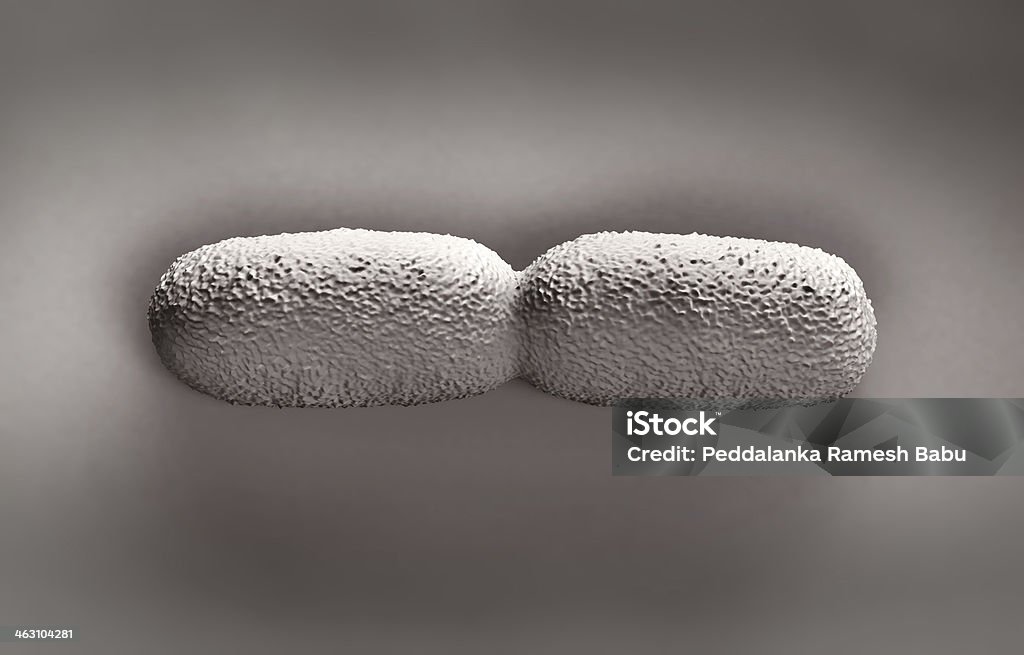 Listeria bacterias - Foto de stock de Aumento a gran escala libre de derechos