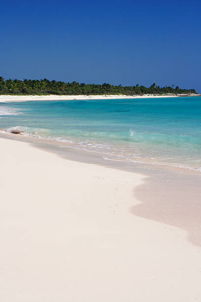 istock Caribbean beach, Akumal, Mexico. 463105747