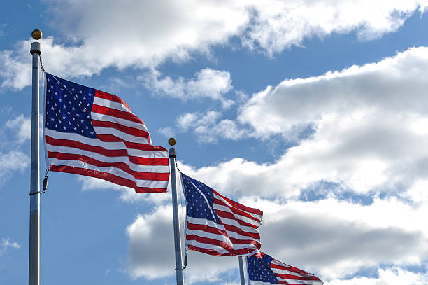 istock American Flags at the Washington Monument 463105911
