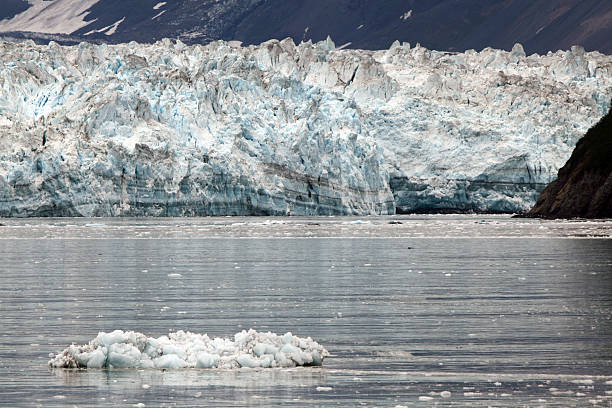 istock Alaskan Glacier, USA 463112503