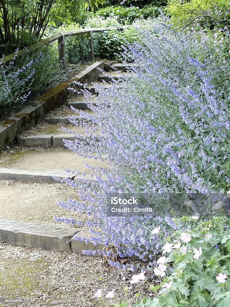 Park wenige Schritte - Lizenzfrei Blatt - Pflanzenbestandteile Stock-Foto