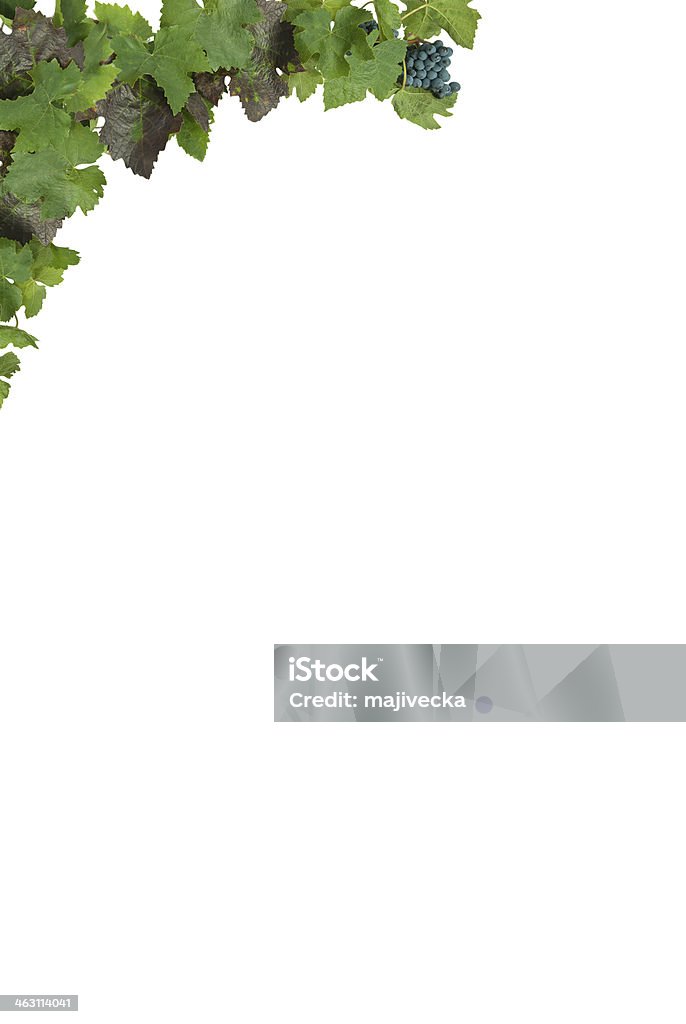 Telaio con uva - Foto stock royalty-free di Agricoltura