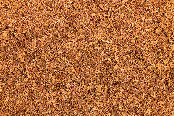 istock Cut Loose Pipe Tobacco Texture Background, Detailed Horizontal Macro Closeup 463116555