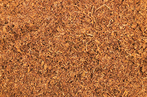 Cut Loose Pipe Tobacco Texture Background, Detailed Horizontal Macro Closeup stock photo