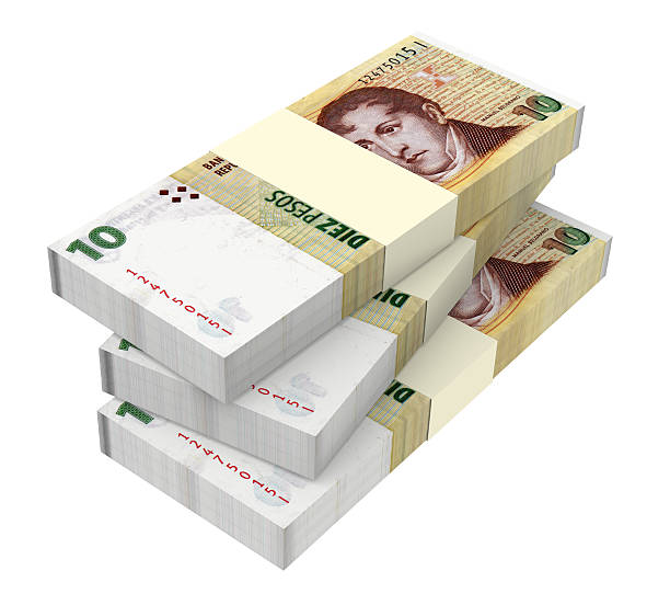 istock Argentina pesos isolated on white background. 463120513