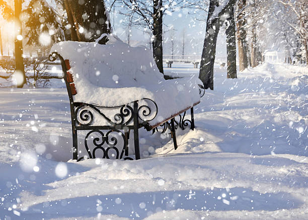 istock Bench in the park covered with snow 463120915