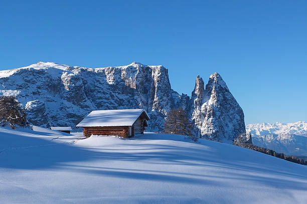 istock Typical wooden challet in the Dolomites 463121397