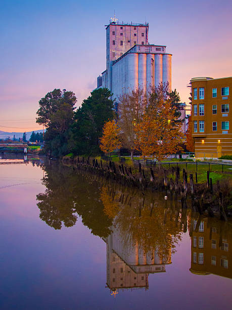 Silo Reflections The grain silos in Petaluma are reflected in the mirror-like surface of the Petaluma River in the first light of an autumn dawn petaluma stock pictures, royalty-free photos & images