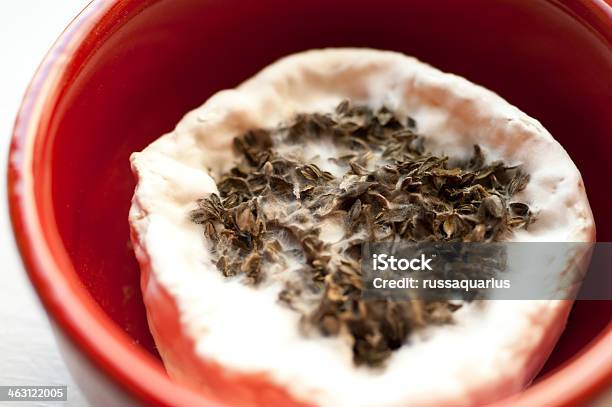 Molding Cheese Stock Photo - Download Image Now - Aging Process, Cheese, Close-up