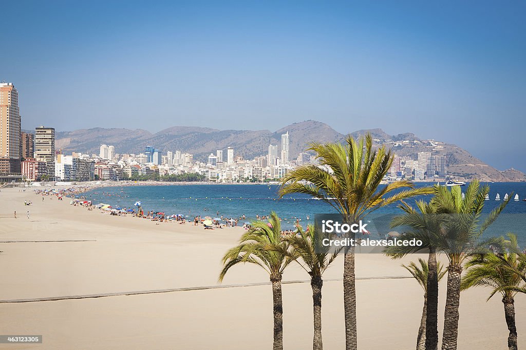 Beautiful beach of Benidorm showing city in the back Benidorm beach in summertime. Benidorm Stock Photo