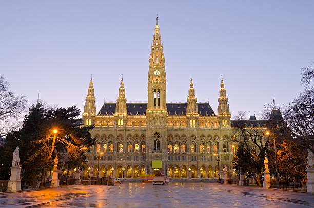 wiedeń's town hall (rathaus) - vienna austria vienna town hall night zdjęcia i obrazy z banku zdjęć