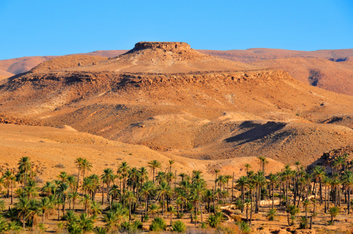 Biskra, Algeria: mesa above an oasis in the Sahara desert - photo by M.Torres