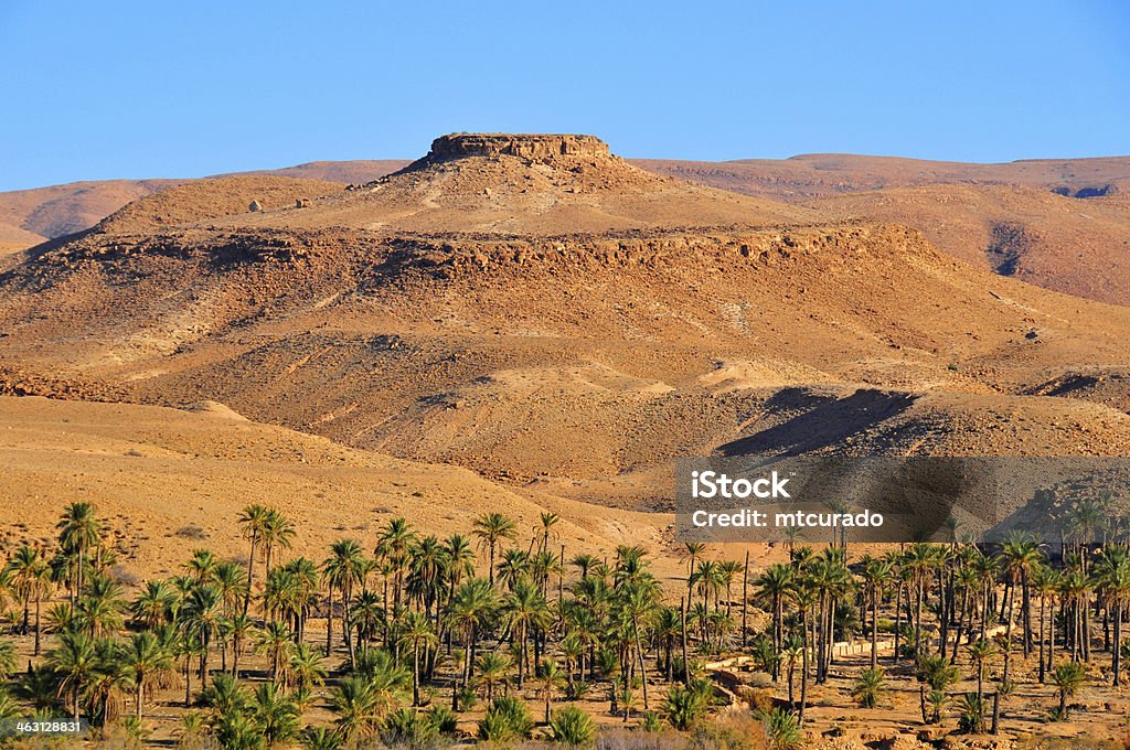 Biskra, Algeria: oasis and mesa Biskra, Algeria: mesa above an oasis in the Sahara desert - photo by M.Torres Algeria Stock Photo