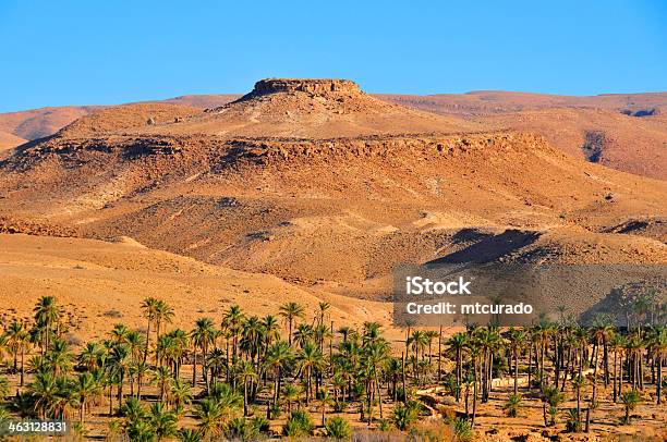 Biskra Algeria Oasis And Mesa Stock Photo - Download Image Now - Algeria, Biskra - City, Biskra Province