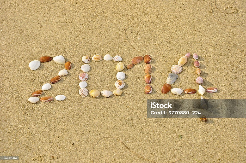 year2014 in primo piano di piccola shell sulla spiaggia di sabbia - Foto stock royalty-free di 2014