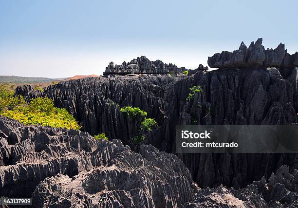 Photo libre de droit de De Tsingy De Madagascar banque d'images et plus d'images libres de droit de Afrique - Afrique, Aiguille rocheuse, Caillou